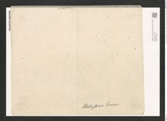 Nitzschia stoliczkiana Grun. (de-Toni-Nr.: Genus 47, Species 2143) Zeichnungen Sammlung Grunow (NHMW-BOT-W0372340)